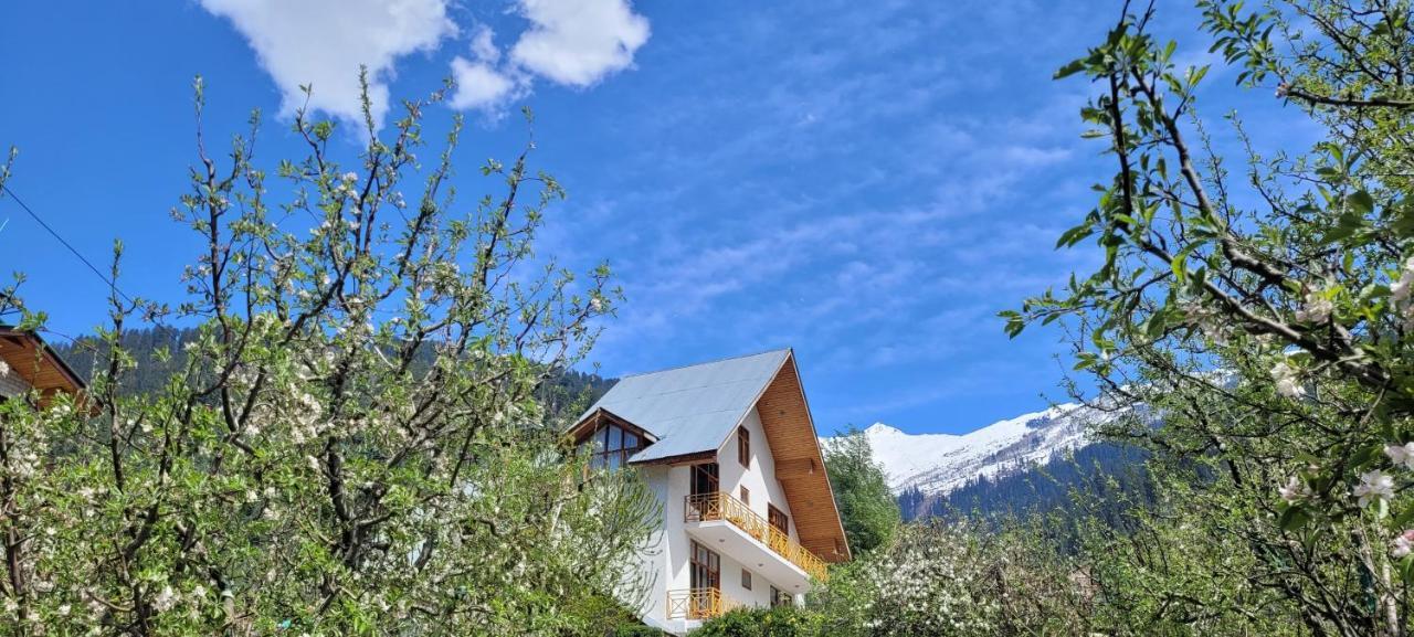 The Wooden Chalet, Manali ภายนอก รูปภาพ